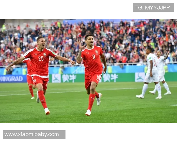 塞尔维亚足球球星的辉煌历程与绿茵场上不屈精神