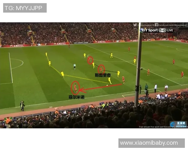 足球巨星巅峰绝技全景展示带你领略赛场非凡瞬间