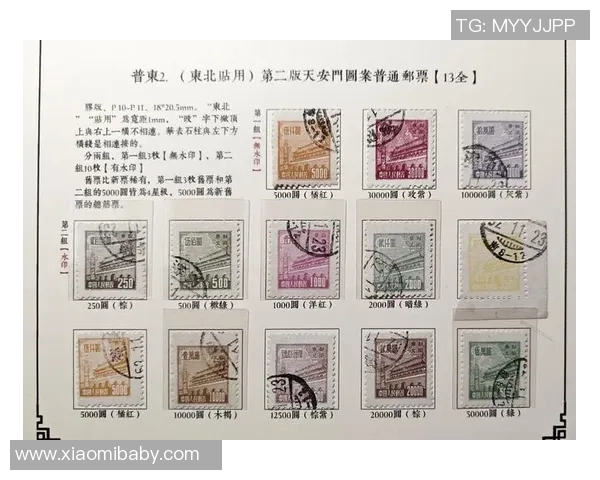 拆解180元足球星卡的惊喜与心跳 每一张卡片背后的未知价值探索 拆解180元足球星卡的惊喜与心跳 每一张卡片背后的未知价值探索