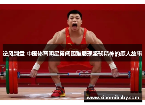 逆风翻盘 中国体育明星勇闯困难展现坚韧精神的感人故事